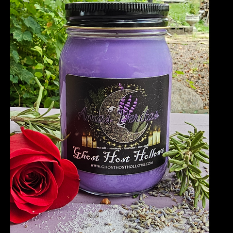 Amas Veritas candle