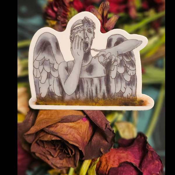 Don't Blink vinyl sticker