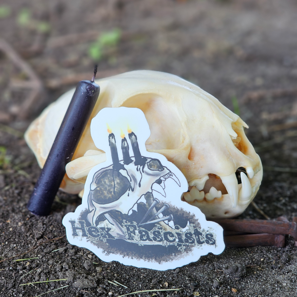Hex Fascists vinyl sticker
