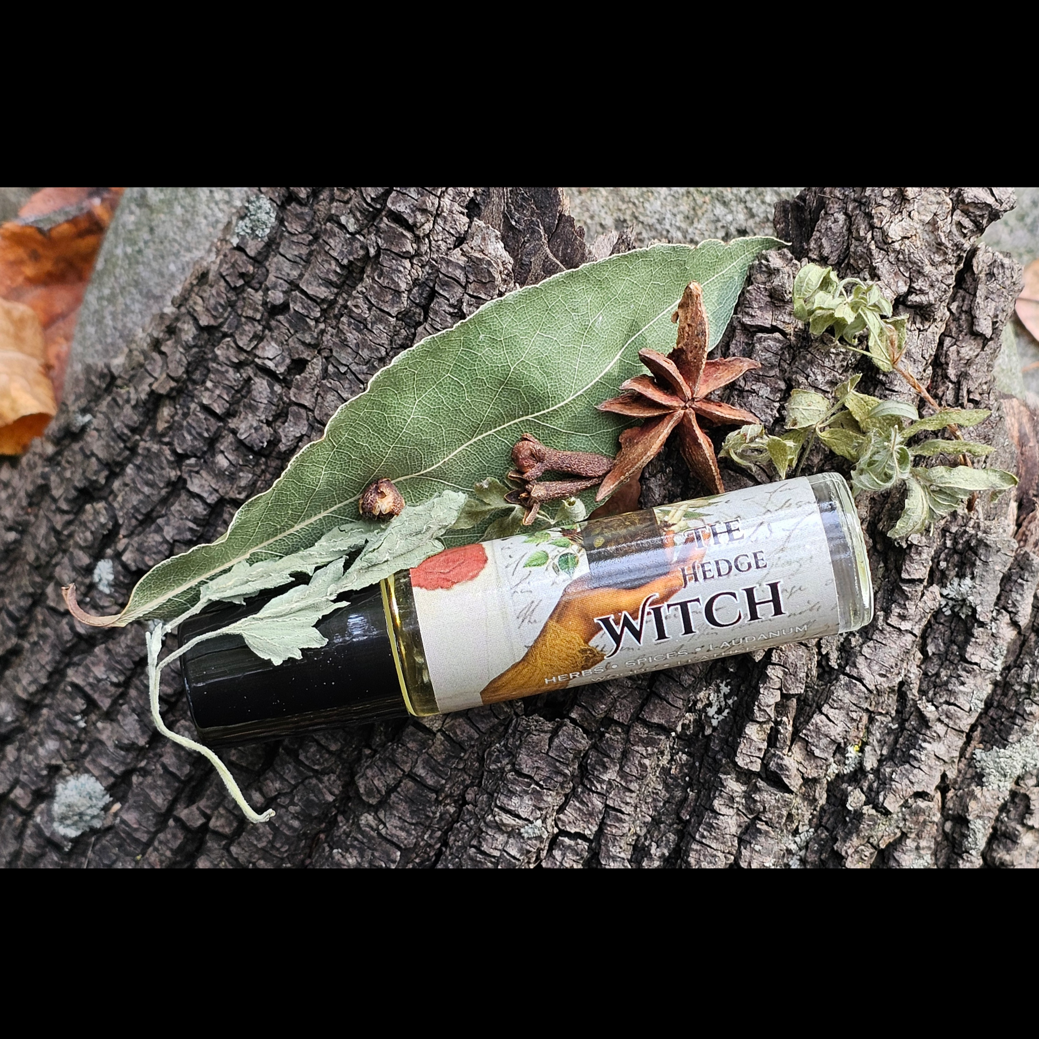 The Hedge Witch perfume by Seance